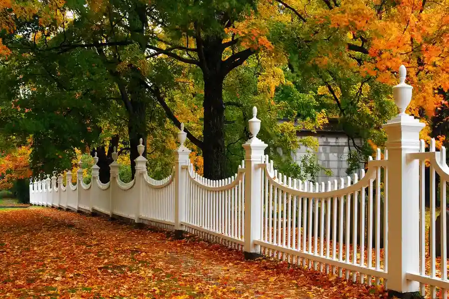 Key Benefits Of Installing Wood Fencing For Privacy And Security Fairview Heights, IL Key Benefits Of Installing Wood Fencing For Privacy And Security Fairview Heights, IL